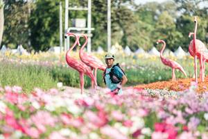 BIB: 
                            <button type="button" onclick="openModal(27344277)" class="btn btn-primary btn-sm float-right btn-popup" data-toggle="modal" data-target=".modal-high-quality">
                        <i class="fas fa-shopping-cart"></i> Add to Cart
                    </button>
                                            <button type="button" onclick="isThisMe(27344277, true)" class="btn btn-success btn-sm float-right btn-popup btn-isme hidden" data-toggle="tooltip" data-placement="bottom" title="นี่คือรูปของคุณใช่ไหม คลิกที่นี่เพื่อเอาเข้าอัลบั้ม">
                        <i class="fas fa-plus"></i> Add to album
                    </button>
                    <button type="button" onclick="isThisMe(27344277, false)" class="btn btn-warning btn-sm float-right btn-popup btn-isnotme hidden">
                        <i class="fas fa-ban"></i> Remove from album
                    </button>